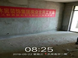 水岸莲华